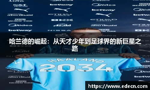 好博(中国)体育